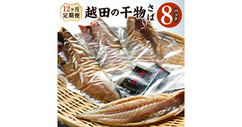 【ふるさと納税】12カ月 定期便 越田の干物 さば 8枚 セット 鯖 サバ 文化干し 塩 干物 定期便 12か月 国産 神栖市 茨城県 送料無料