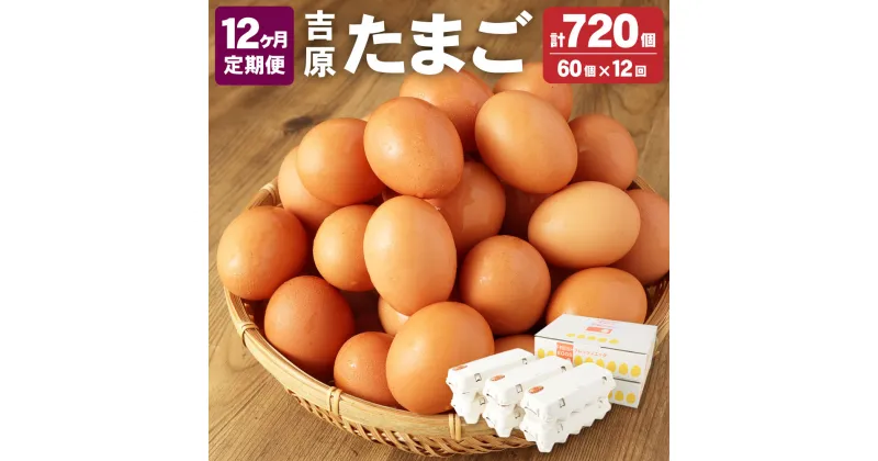 【ふるさと納税】 ＜12ヶ月定期便＞濃厚プレミアム 吉原たまご 2箱 30個×2箱 60個入り 12回 合計720個 卵 玉子 生卵 鶏卵 定期便 茨城県 神栖市 送料無料