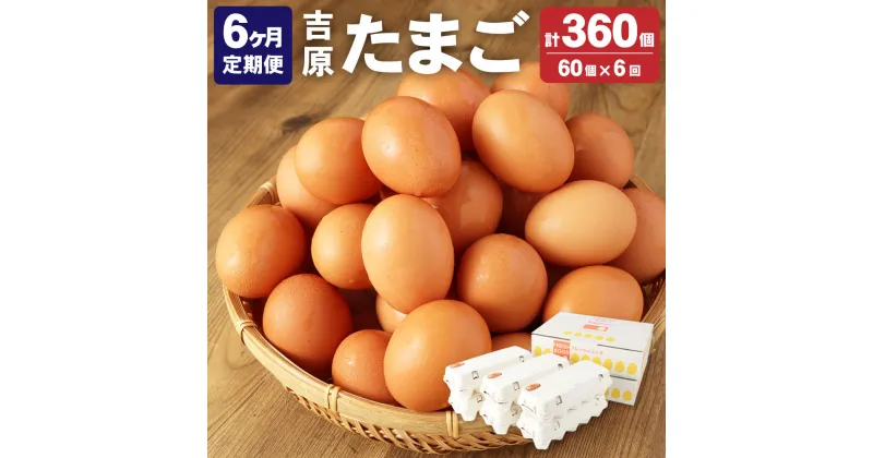 【ふるさと納税】 ＜6ヶ月定期便＞濃厚プレミアム 吉原たまご 2箱 30個×2箱 60個入り 6回 合計360個 卵 玉子 生卵 鶏卵 定期便 茨城県 神栖市 送料無料