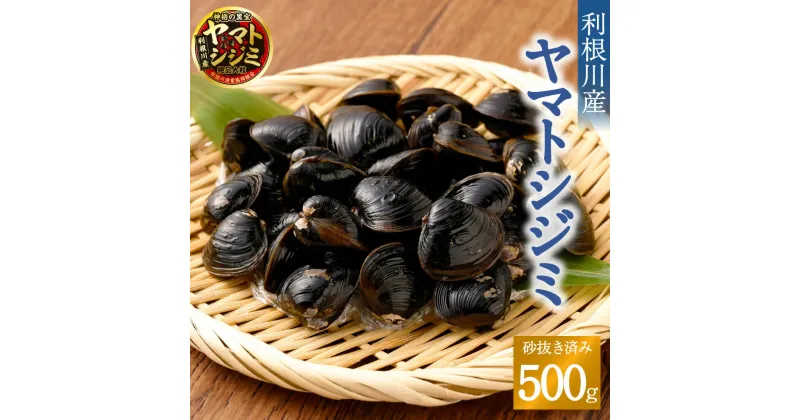 【ふるさと納税】神栖の黒宝 漁業者からお届け！利根川産ヤマトシジミ 500g 魚介 貝 大粒3cm以上 砂抜き済み 利根川 味噌汁 酒蒸し パスタ 丼ぶり 茨城県 神栖市 送料無料