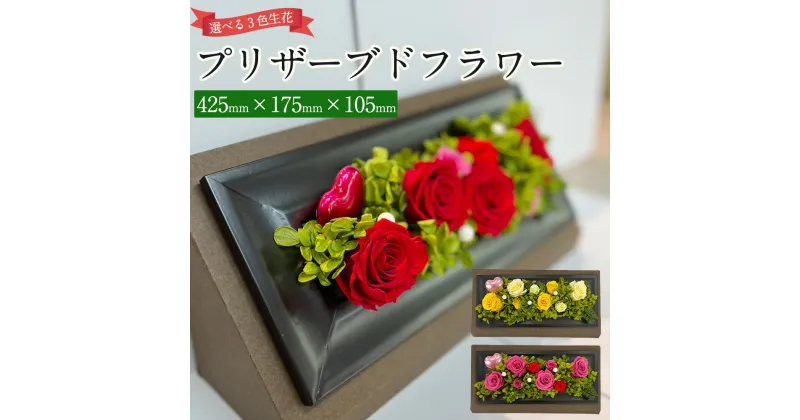 【ふるさと納税】プリザーブドフラワー 大 425mm×175mm×105mm 生花 お花 花 黄色 ピンク 赤 国産 オリジナル 手作り 加工 ギフト 飾り お祝い 贈り物 ラッピング 茨城県 神栖市 送料無料