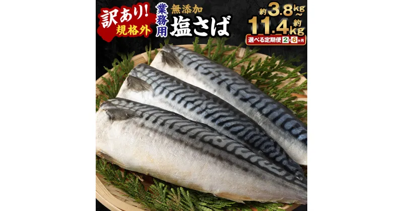 【ふるさと納税】＜選べる定期便＞訳あり 規格外 業務用 無添加 塩さば 1.9kg 鯖 サバ さば 魚 国内加工 冷凍 茨城県 神栖市 送料無料