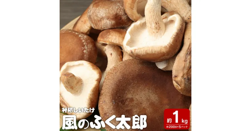 【ふるさと納税】神栖市 しいたけ 風のふくたろう 1kg 200g×5袋 きのこ 椎茸 菌床 茨城県 神栖市 送料無料