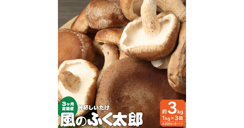 【ふるさと納税】定期便3回 神栖市 しいたけ 風のふくたろう 3kg 1kg ( 200g×5袋 )× 3回 きのこ 椎茸 菌床 茨城県 神栖市 送料無料