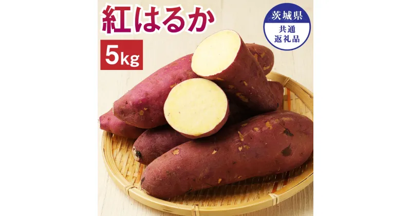 【ふるさと納税】茨城県産 さつまいも 紅はるか 5kg 約18～20本 茨城県共通返礼品 水戸市 ひたちなか市 鹿嶋市 行方市 大洗町 芋 いも 神栖市 送料無料【2024年10月下旬発送開始】