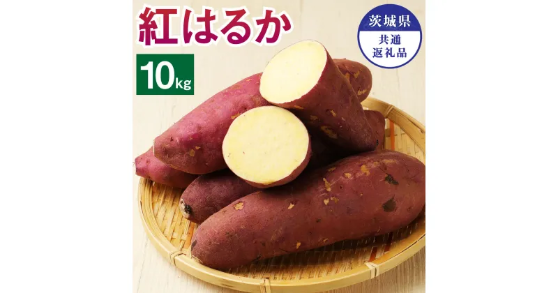 【ふるさと納税】茨城県産 さつまいも 紅はるか 10kg 茨城県共通返礼品 水戸市 ひたちなか市 鹿嶋市 行方市 大洗町 芋 いも 神栖市 送料無料【2024年10月下旬発送開始】