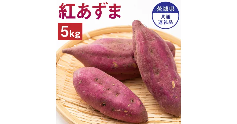 【ふるさと納税】茨城県産 さつまいも 紅あずま 5kg 茨城県共通返礼品 水戸市 ひたちなか市 鹿嶋市 行方市 大洗町 芋 いも 神栖市 送料無料【2024年9月上旬発送開始】