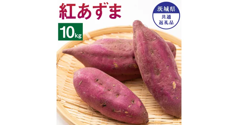 【ふるさと納税】茨城県産 さつまいも 紅あずま 10kg 茨城県共通返礼品 水戸市 ひたちなか市 鹿嶋市 行方市 大洗町 芋 いも 神栖市 送料無料【2024年9月上旬発送開始】