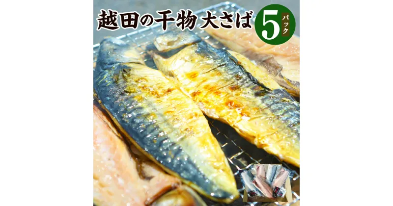 【ふるさと納税】越田の干物 大さば 5枚 セット 魚 鯖 文化干し 塩 さば サバ 干物 神栖市 茨城県 送料無料