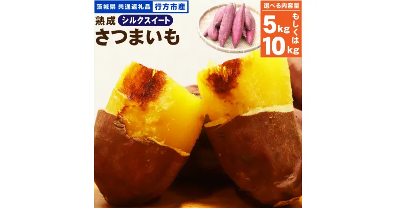 【ふるさと納税】“熟成”茨城県産さつまいも【シルクスイート】約5kg 約10kg (茨城県共通返礼品・行方市産） さつまいも サツマイモ さつま芋 芋 いも 野菜 茨城県 神栖市 送料無料