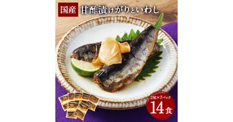 【ふるさと納税】甘酢漬けがりといわし 2尾×7P（14食）いわし イワシ 鰯 魚 甘酢 ガリ 惣菜 ご飯のお供 おつまみ 常温保存 お取り寄せ 茨城県 神栖市 送料無料