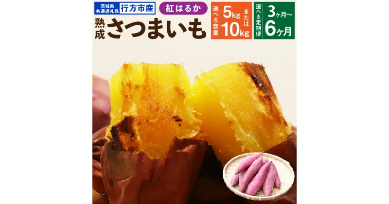 【ふるさと納税】 【選べる定期便】“熟成” 茨城県産 さつまいも【紅はるか】約5kg または 約10kg (茨城県共通返礼品・行方市産）サツマイモ さつま芋 芋 いも 野菜 選べる 定期便 3～6回 茨城県 神栖市 送料無料