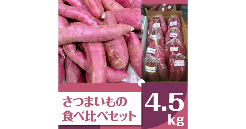 【ふるさと納税】【2024年11月より順次発送】2024年度産 いろんなさつまいも食べ比べセット 約4.5kg(5～8品種)(BZ-18)