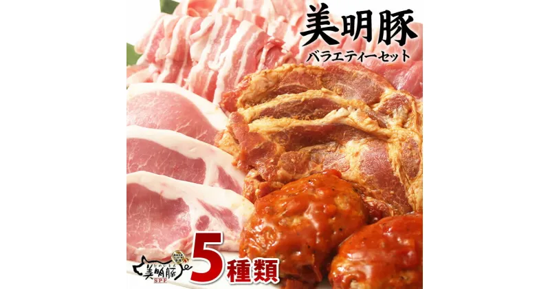 【ふるさと納税】【美明豚】バラエティーセット　豚肉 美明豚 ブランド豚 詰め合わせ セット 国産 モモ肉 もも バラ ハンバーグ 味噌漬け 切り身 切り落とし 贈答用　ロース　バラ肉　肩ロース｜J-1