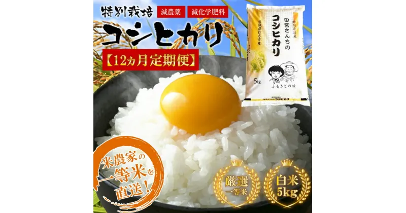 【ふるさと納税】令和5年産【12ヵ月定期便】田宮さんちのコシヒカリ 5kg×12回｜L-9