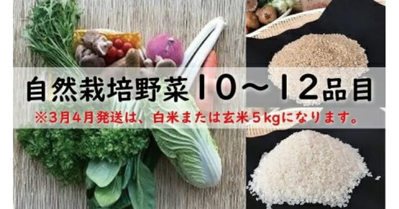 【ふるさと納税】　自然栽培野菜10〜12品目（3月4月は白米または玄米5kg）BI-8　野菜 野菜詰め合わせ やさい セット 野菜ボックス 10種類 旬の野菜をお届け 送料無料 国産 茨城県産