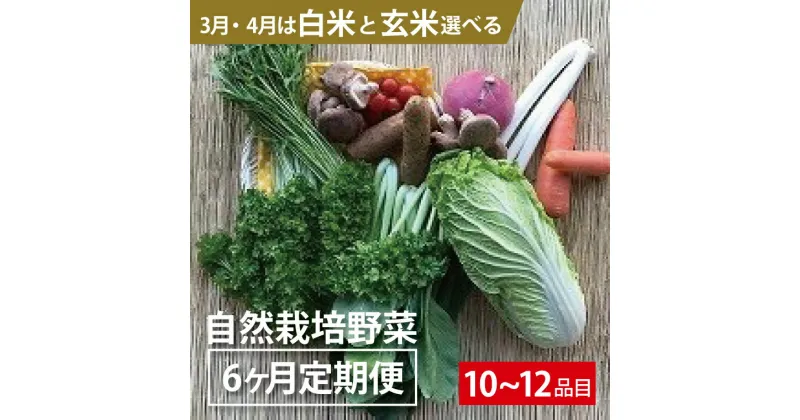 【ふるさと納税】BI-12 【6ヵ月定期便】自然栽培野菜10～12品目（3月4月は白米または玄米5kg）野菜 野菜詰め合わせ やさい セット 野菜ボックス 10種類 旬の野菜をお届け 送料無料 国産 茨城県産