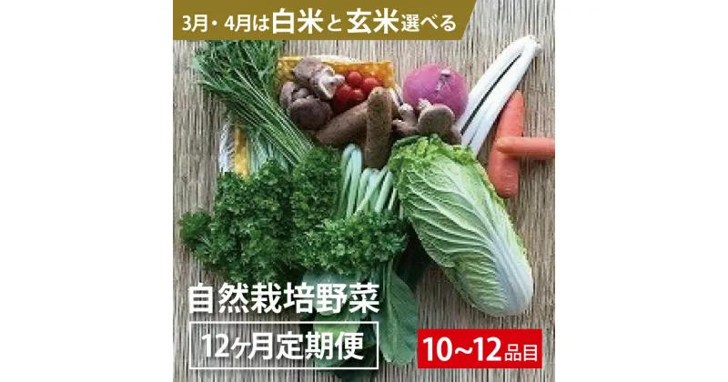 【ふるさと納税】BI-10 【12ヵ月定期便】自然栽培野菜10～12品目（3月4月は白米または玄米5kg）野菜 野菜詰め合わせ やさい セット 野菜ボックス 10種類 旬の野菜をお届け 送料無料 国産 茨城県産