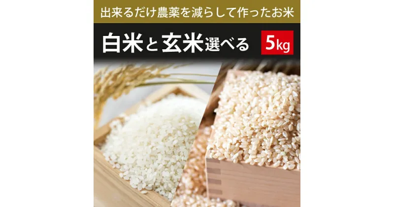 【ふるさと納税】【2024年9月下旬より順次発送】【できるだけ農薬を減らして作ったお米】こしひかり　5kg（白米または玄米）(BI-72)