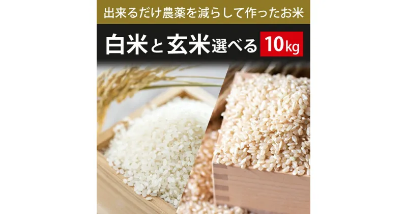 【ふるさと納税】【2024年9月下旬より順次発送】【できるだけ農薬を減らして作ったお米】こしひかり　10kg（白米または玄米）(BI-74)