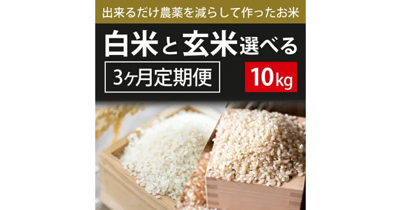 【ふるさと納税】【2024年9月下旬より順次発送】3ヶ月定期便【できるだけ農薬を減らして作ったお米】こしひかり　10kg×3回（白米または玄米）(BI-82)