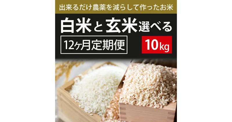 【ふるさと納税】【2024年9月下旬より順次発送】12ヶ月定期便【できるだけ農薬を減らして作ったお米】こしひかり　10kg×12回（白米または玄米）(BI-86)