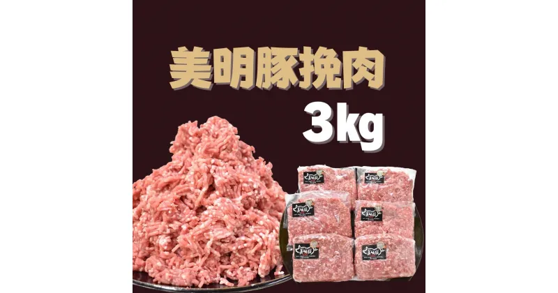 【ふるさと納税】 美明豚 挽肉 500g×6パック ｜DH-4