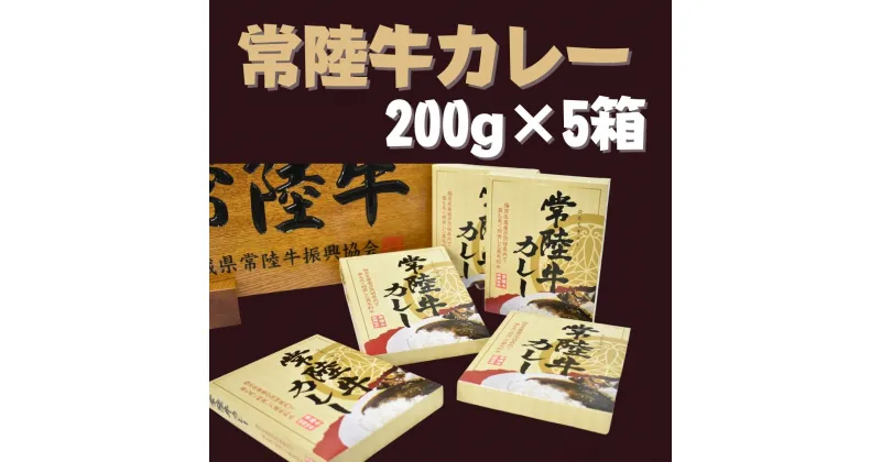 【ふるさと納税】【常陸牛】レトルトカレー（200g×5箱） | DH-13