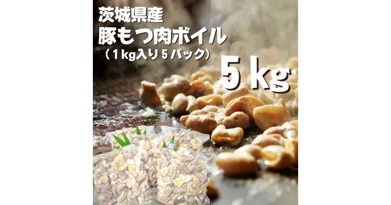 【ふるさと納税】茨城県産　豚もつ肉ボイル（1kg入り×5袋））| DH-16