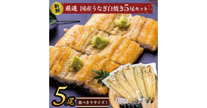 【ふるさと納税】食べきりサイズ！国内産うなぎの白焼（酒蒸し）5尾　計575g以上(AD-71-2)