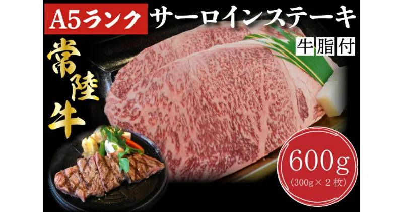 【ふるさと納税】【常陸牛A5ランク】サーロインステーキ　600g（300g×2枚）｜DT-2