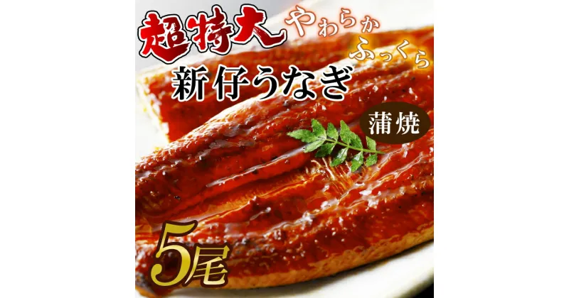 【ふるさと納税】やわらか新仔うなぎ超特大蒲焼230～250g　5尾　計1150g以上(AD-92-1)