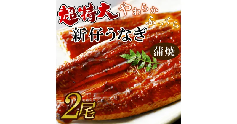 【ふるさと納税】やわらか新仔うなぎ超特大蒲焼230～250g　2尾　計460g以上（AD-95-1）