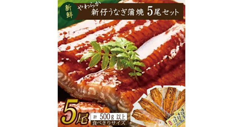 【ふるさと納税】やわらか新仔うなぎ食べ切りサイズ100～120g　5尾　計500g以上(AD-103-1)