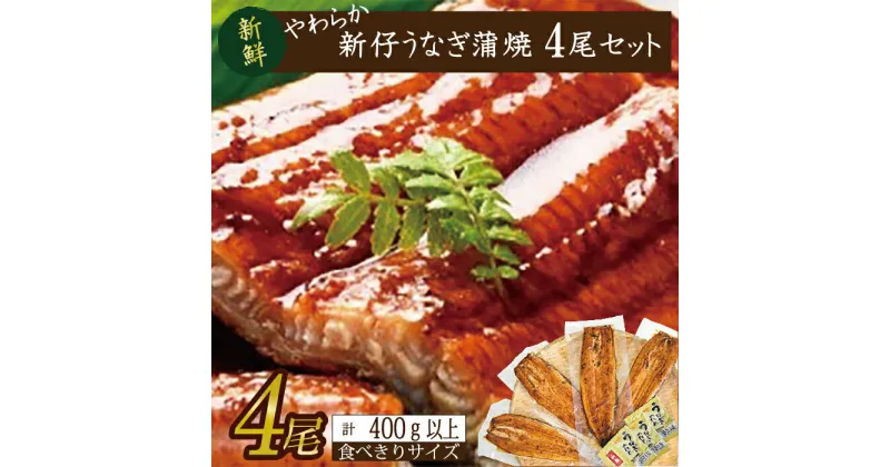 【ふるさと納税】やわらか新仔うなぎ食べ切りサイズ100～120g　4尾　計400g以上(AD-104-1)