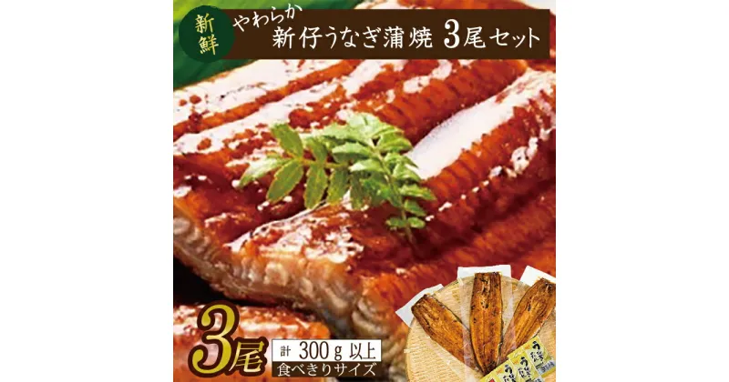 【ふるさと納税】やわらか新仔うなぎ食べ切りサイズ100～120g　3尾　計300g以上(AD-105-1)