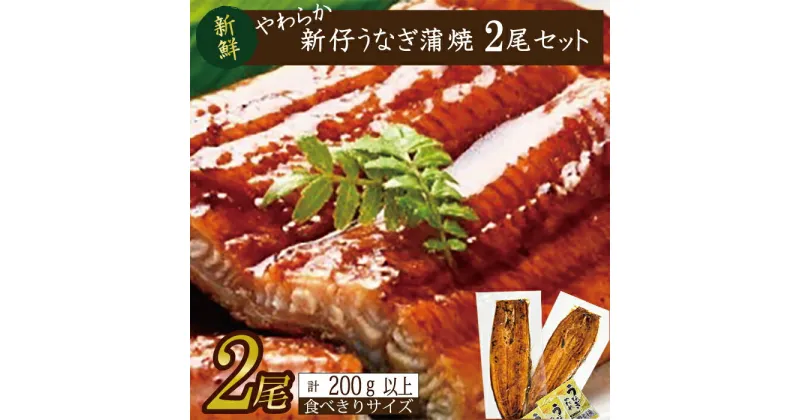 【ふるさと納税】やわらか新仔うなぎ食べ切りサイズ100～120g　2尾　計200g以上(AD-106-1)