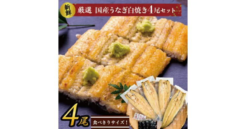 【ふるさと納税】食べきりサイズ！国内産うなぎの白焼（酒蒸し）4尾　計460g以上(AD-128-2)