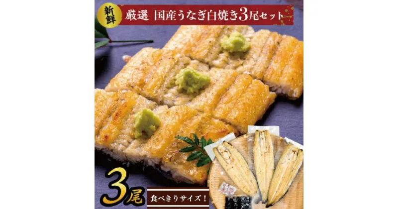 【ふるさと納税】食べきりサイズ！国内産うなぎの白焼（酒蒸し）3尾　計345g以上(AD-129-2）