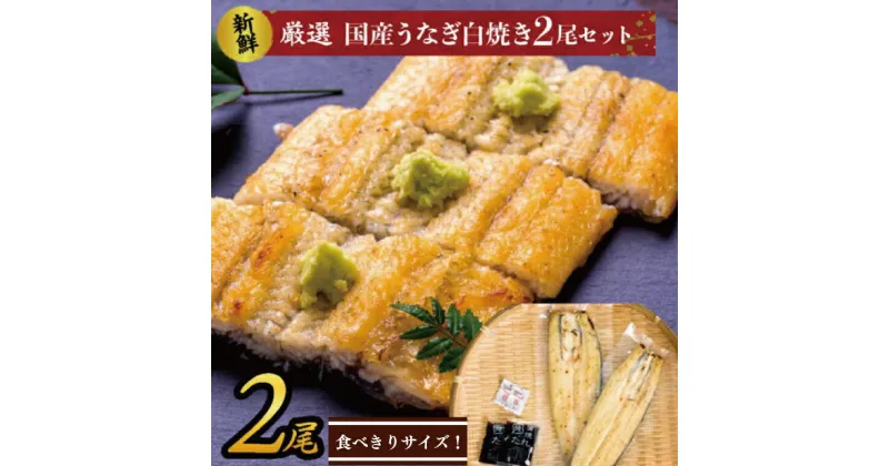 【ふるさと納税】食べきりサイズ！国内産うなぎの白焼（酒蒸し）2尾　計230g以上(AD-130-2)