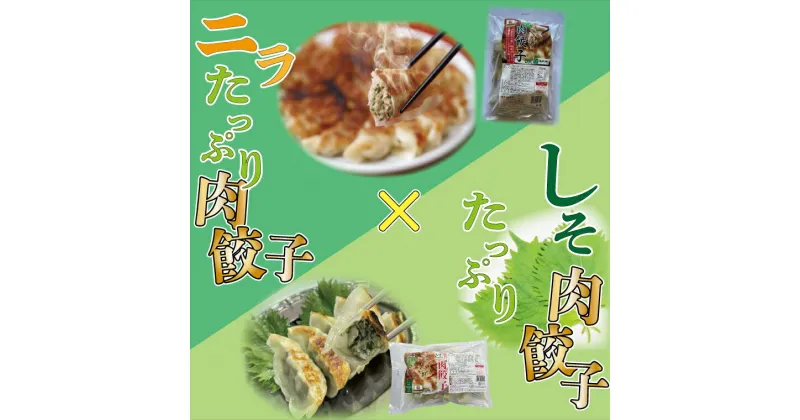 【ふるさと納税】【ローズポーク使用】JA・しそたっぷり肉餃子（30個）＆ニラたっぷり肉餃子（30個）セット｜AE-51