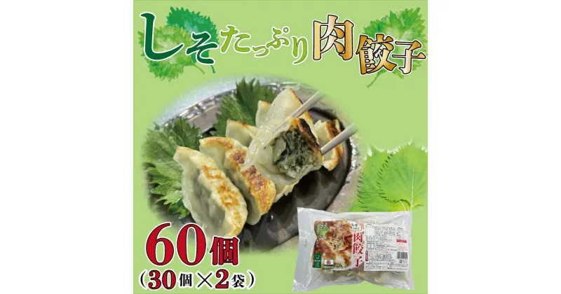 【ふるさと納税】【ローズポーク使用】JA・しそたっぷり肉餃子（30個）2袋｜AE-52