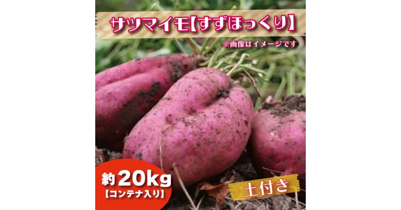 【ふるさと納税】【2024年11月より順次発送】2024年度産 さつまいも 『すずほっくり』 約20kg(コンテナ入り)(BZ-29)