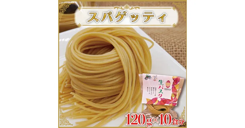 【ふるさと納税】生パスタ （スパゲッティ10食分）｜CJ-15