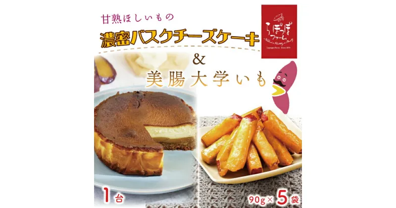 【ふるさと納税】らぽっぽファーム　甘熟ほしいもの濃蜜バスクチーズケーキ＆美腸大学いも5袋｜CQ-15