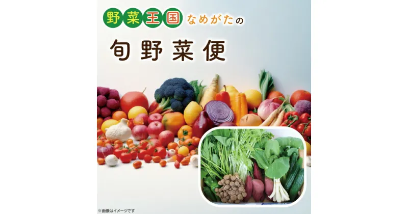 【ふるさと納税】野菜王国なめがたの旬野菜便（さつまいも入り）｜CU-131｜CU-131