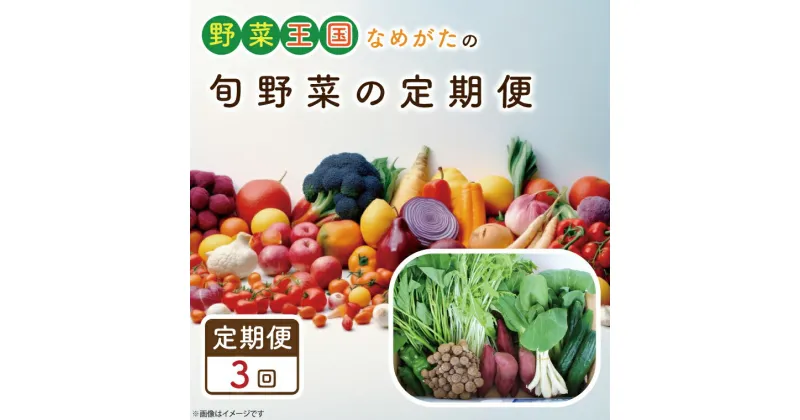 【ふるさと納税】【3ヶ月定期便】野菜王国なめがたの旬野菜の定期便（さつまいも入り）｜CU-132