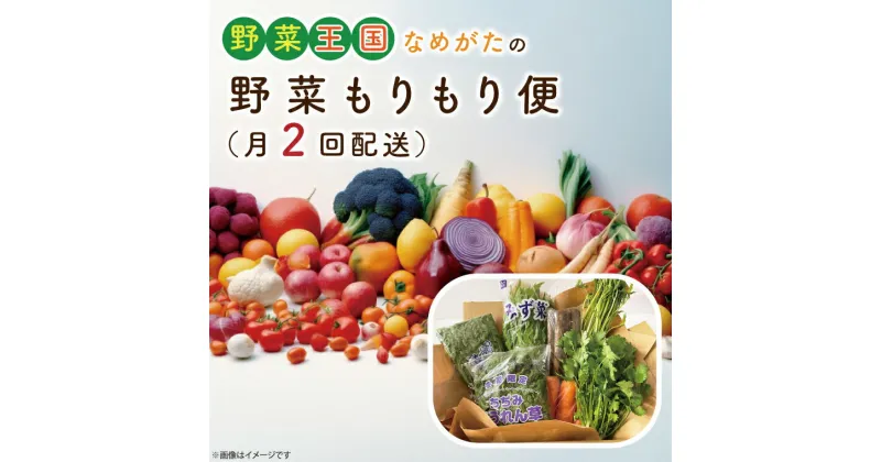 【ふるさと納税】野菜王国なめがたの野菜もりもり便（月2回発送）｜CU-139