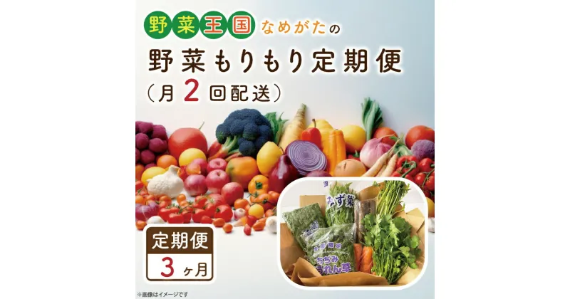 【ふるさと納税】【3ヶ月定期便】野菜王国なめがたの野菜もりもり定期便（月2回発送）｜CU-140