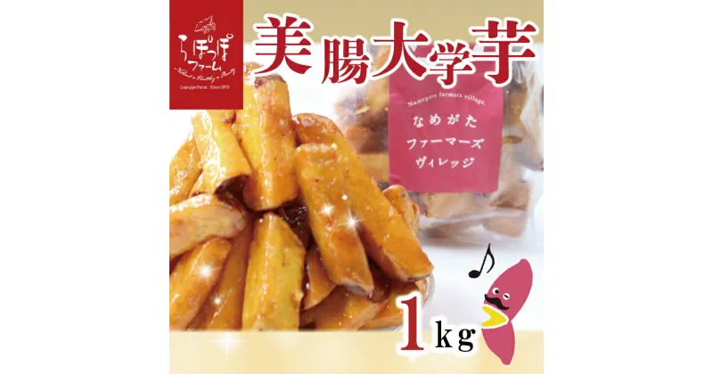 【ふるさと納税】らぽっぽファーム【工場直送】　美腸大学いも1kg｜CQ-19